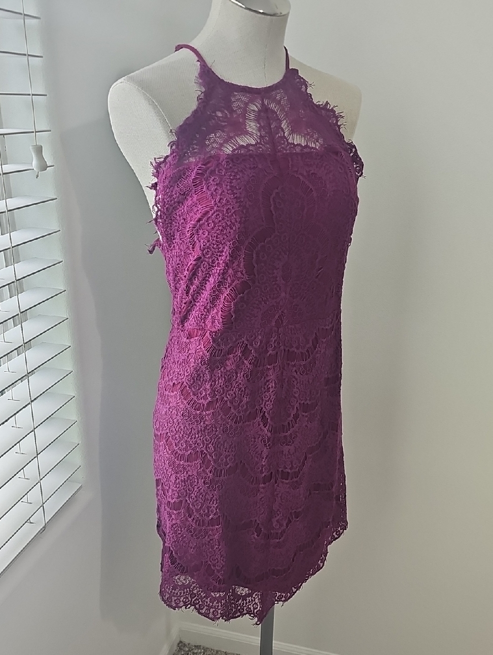 Free People Plum Lace Mini Dress